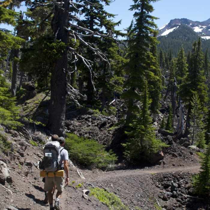 Near Obsidian Trail Hike Near Obsidian Trail Hike