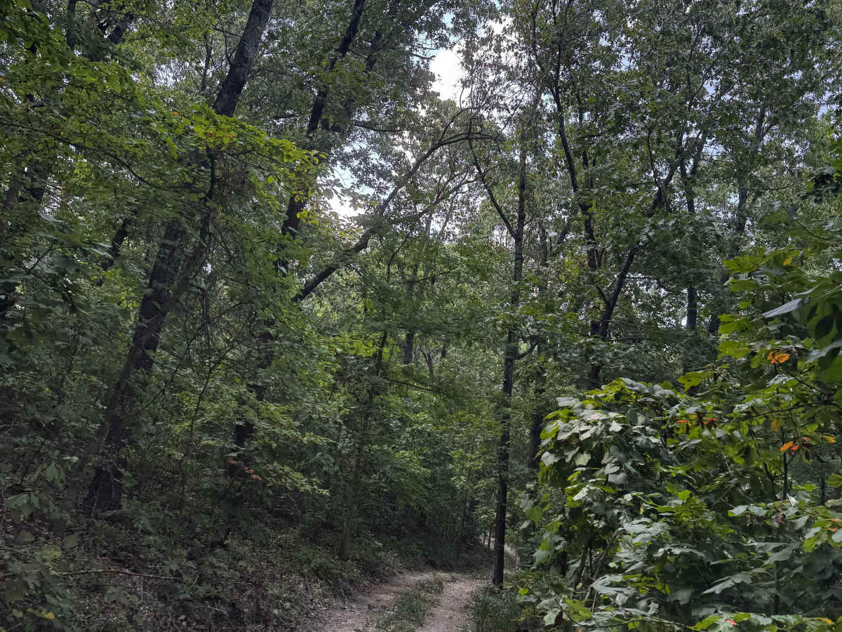 Eden's Crawl trail photo