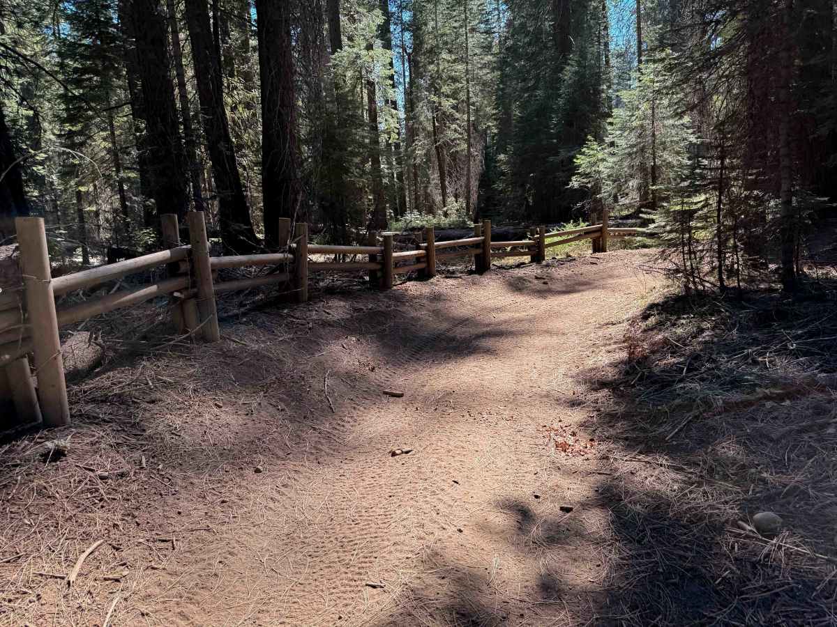 18EV90 trail photo