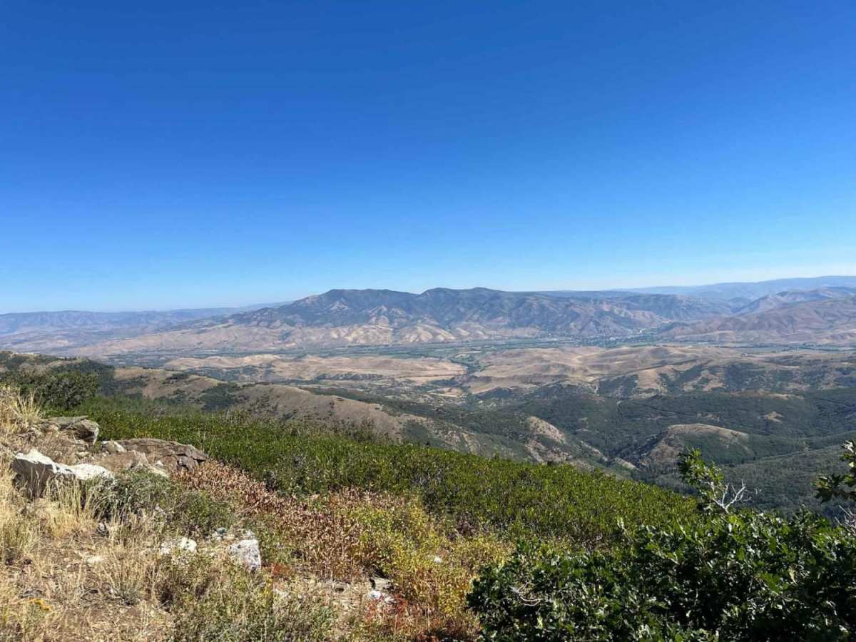 Gold Hill photo 5