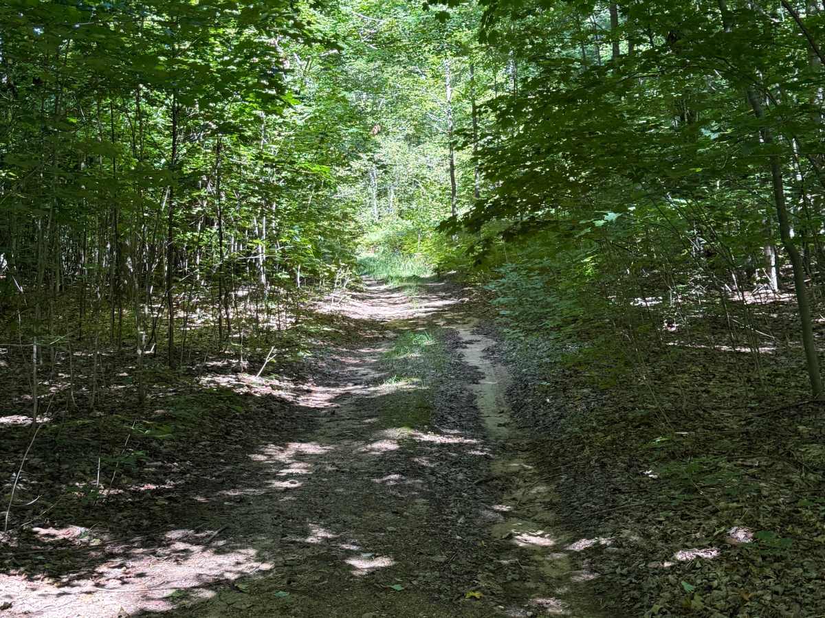 Lumley-Glovers Trail photo 3
