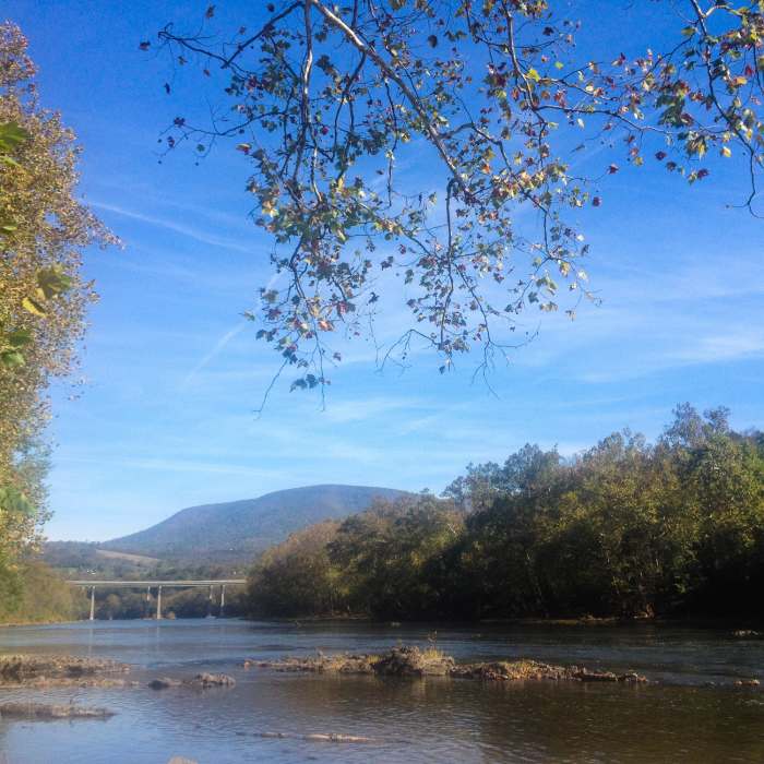 Near Whitt Riverbend Paved Trail