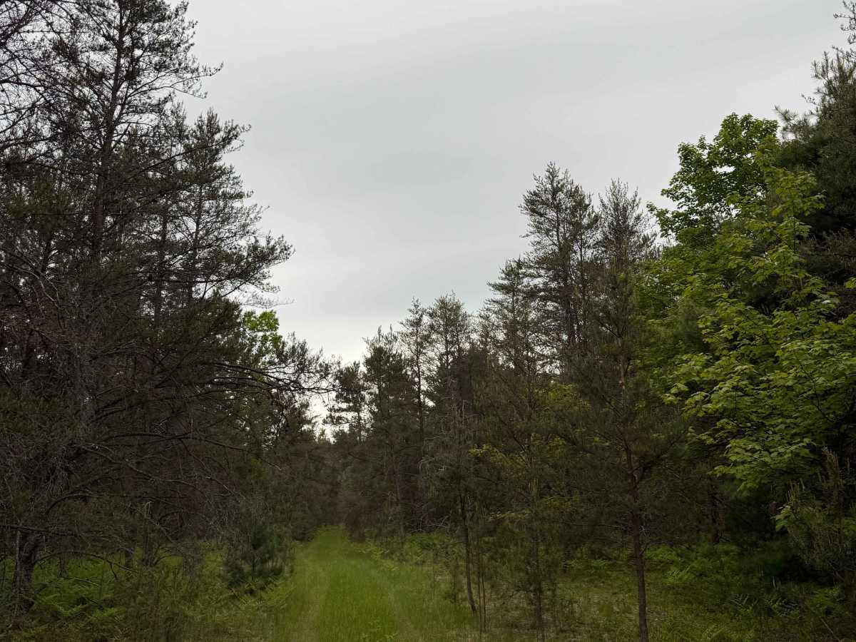 Crofton West Trail photo 4