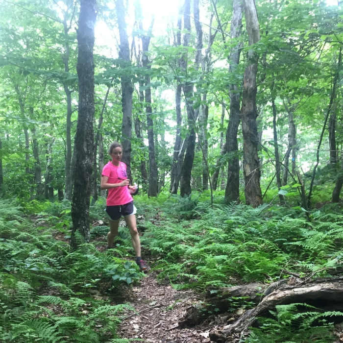 The ferns coat some sections of this trail. Near Copple Crown