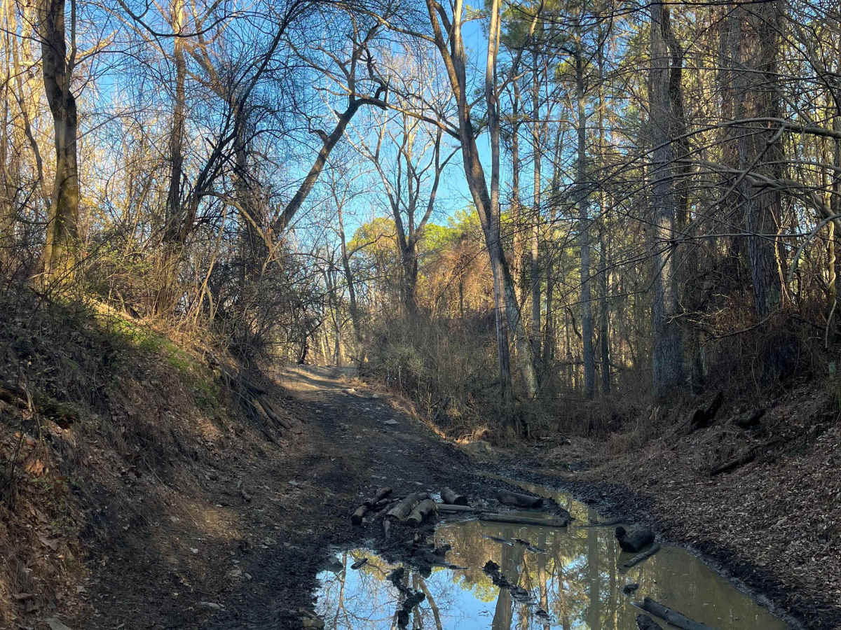 South Boundary Trail photo 2