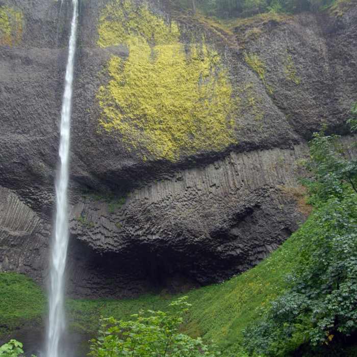 Near Latourell Falls