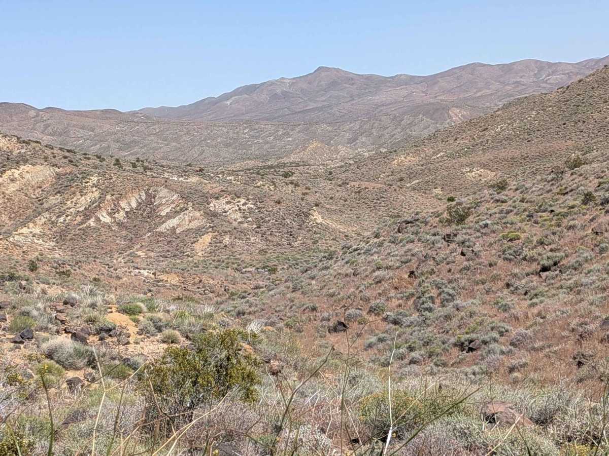 Mesquite Canyon North photo 6