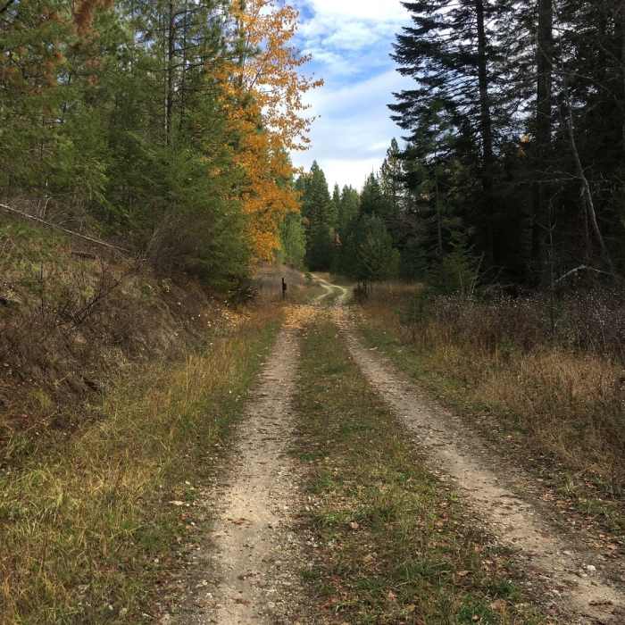 Near Mica Peak to Liberty Lake: Highline Connector