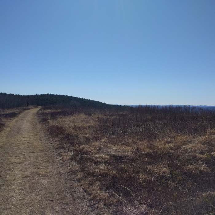 Near Leyden Blueberry Fields