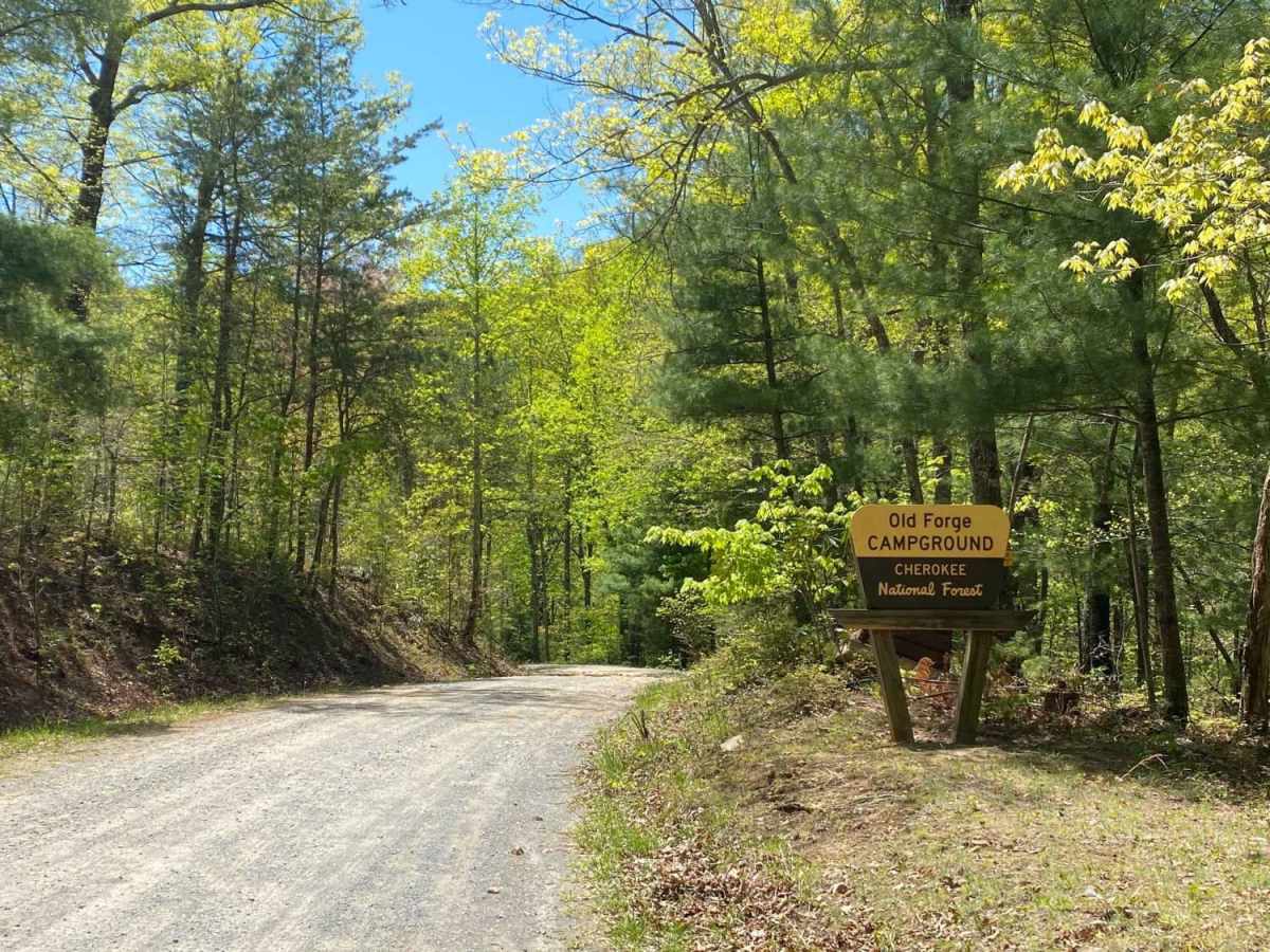 Jennings Creek Road photo 4