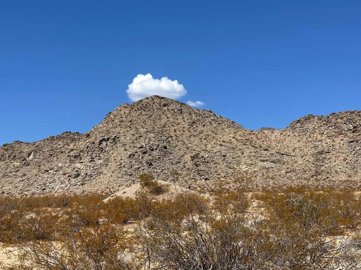 Blackbrush Trail trail photo