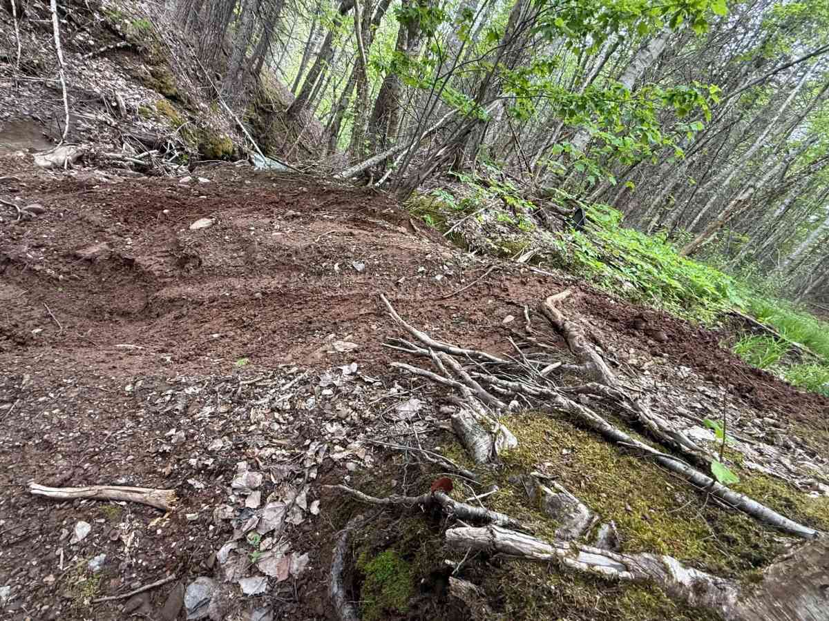Pecks Creek Main Trail photo 2