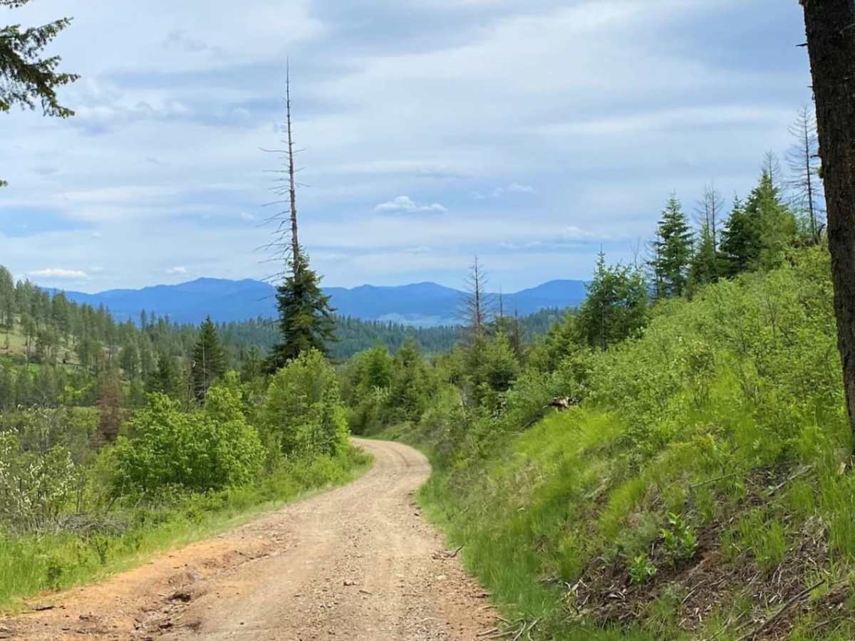 Iron Mtn-Chewelah photo 5