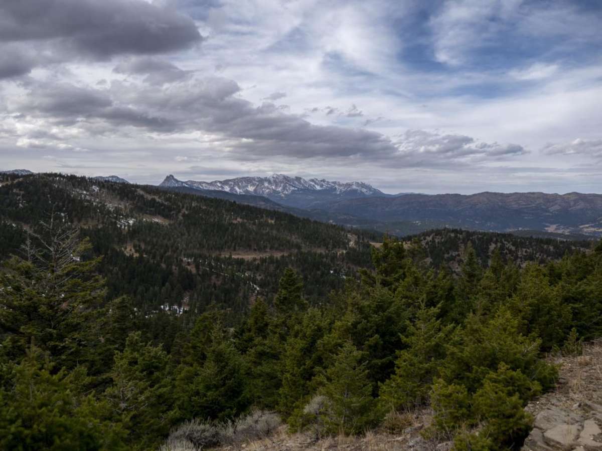 Olsen Creek photo 6
