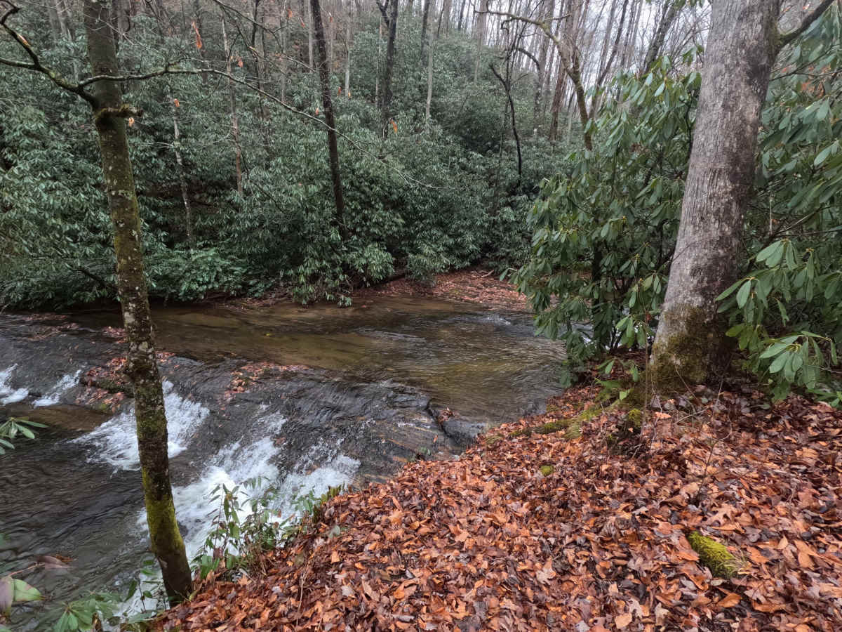 Cathey's Creek Road - FS 471 photo 6