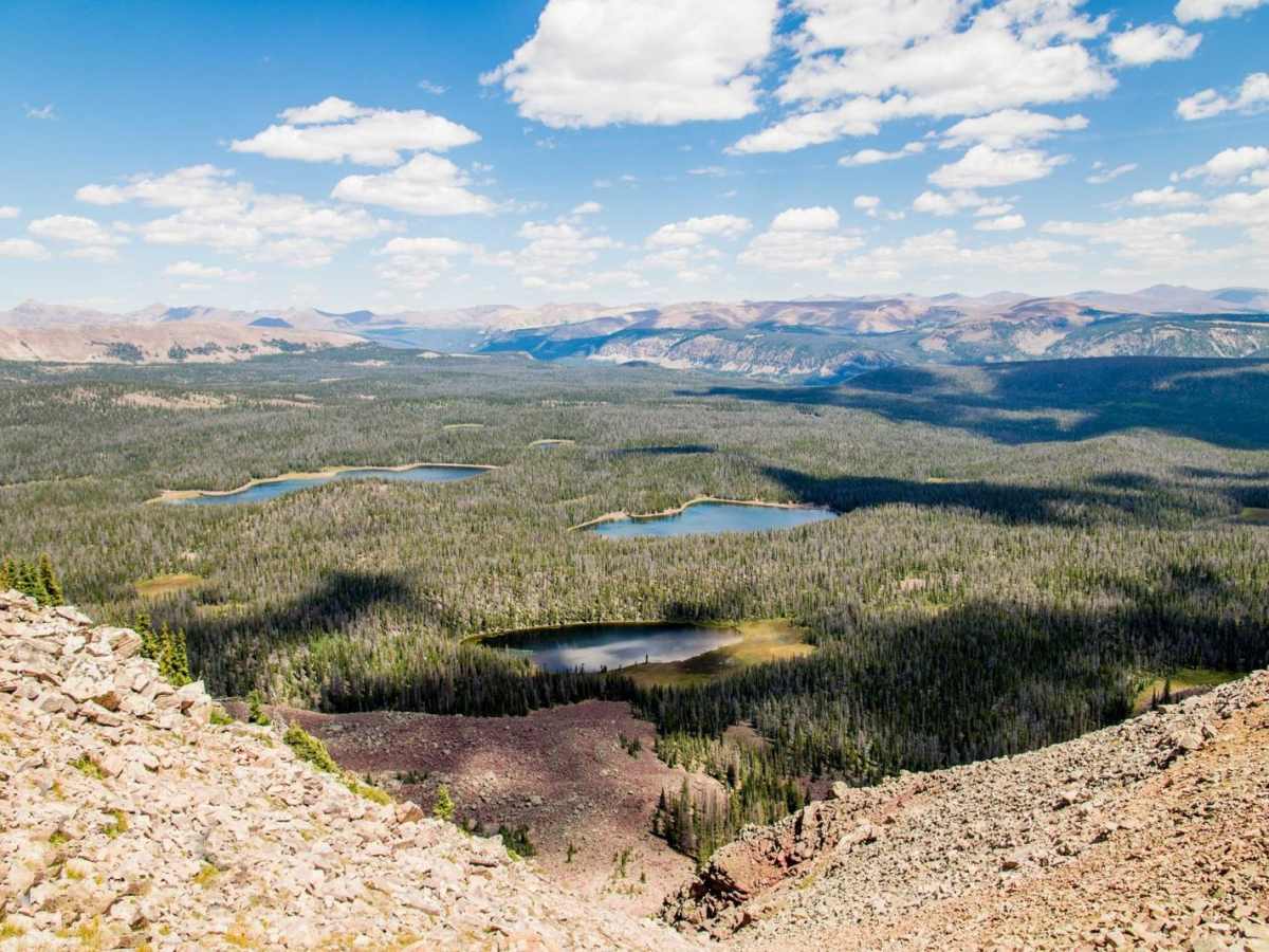 Dry Ridge Road trail photo