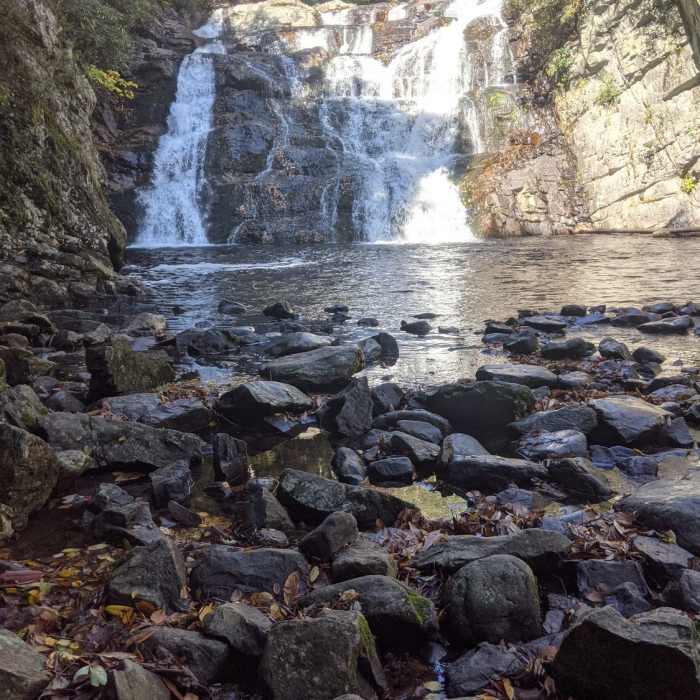 Near Laurel Falls Out and Back from Dennis Cove