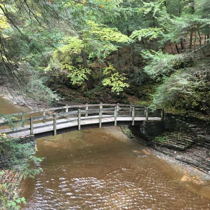 Near Gorge Trail