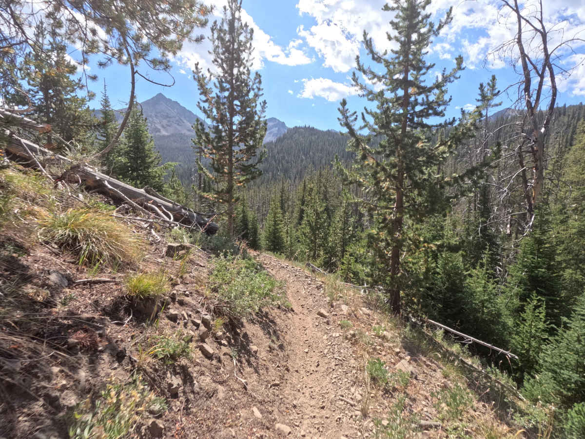 Grand Prize - FS 7112 trail photo
