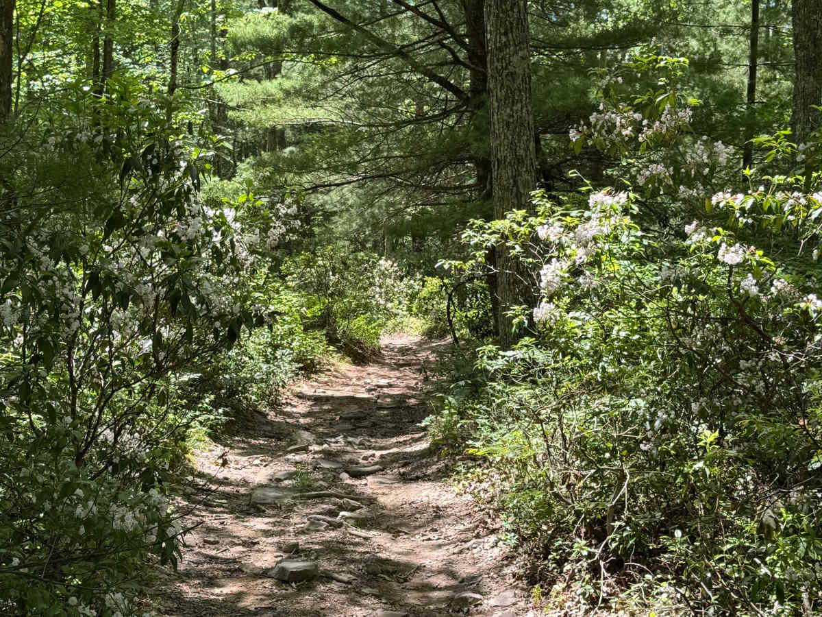 Molly's Meander photo 3