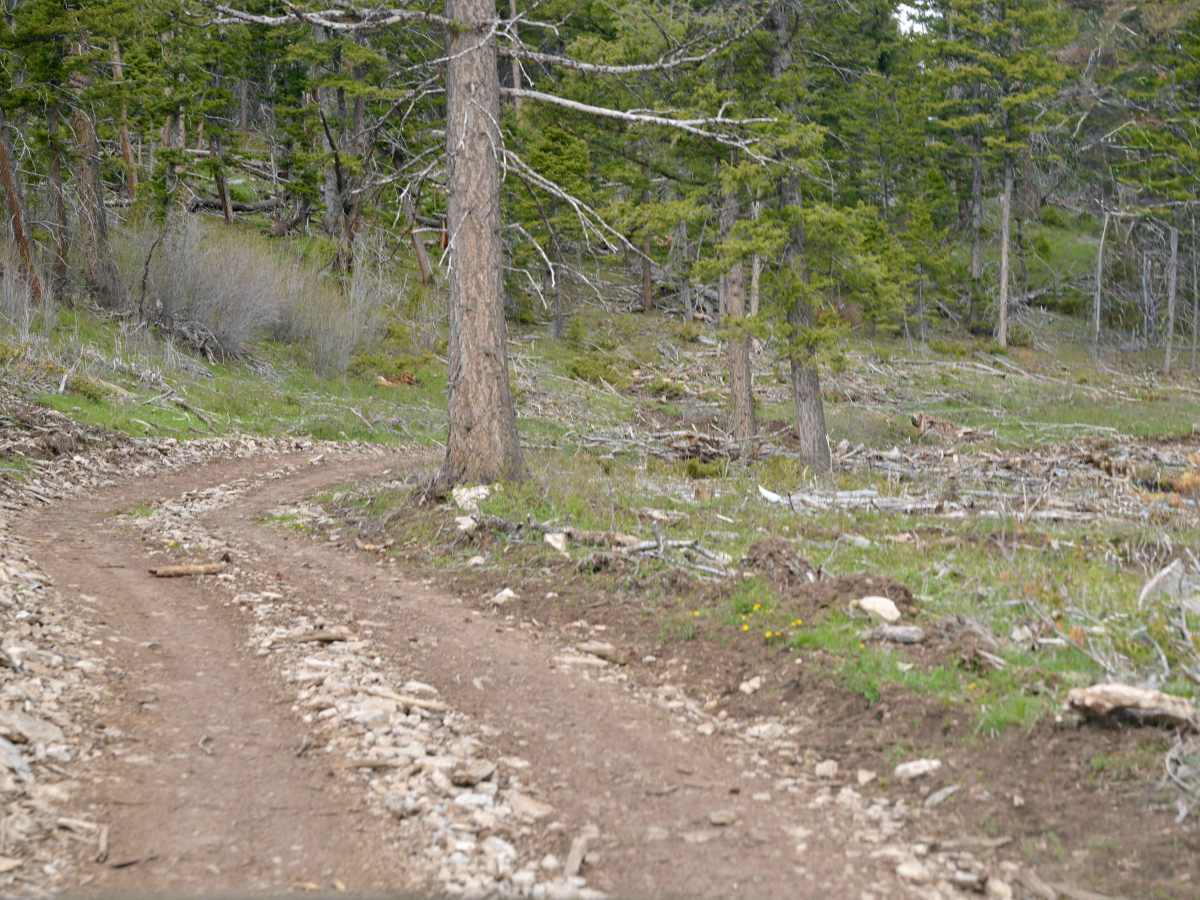 McKee Ridge - FS 10254 photo 5