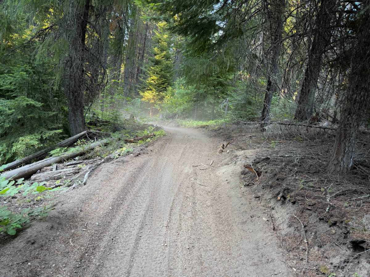 Maze Trail   photo 4