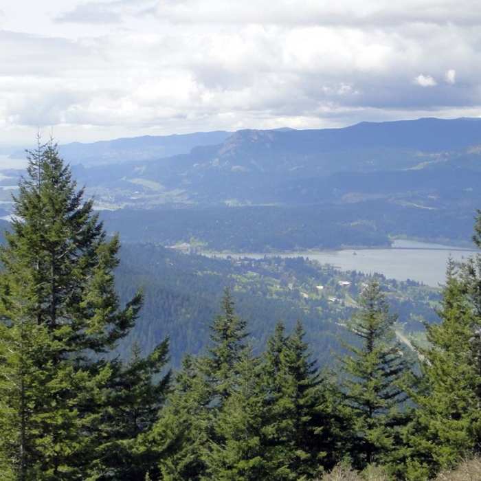 Near Indian Point Loop