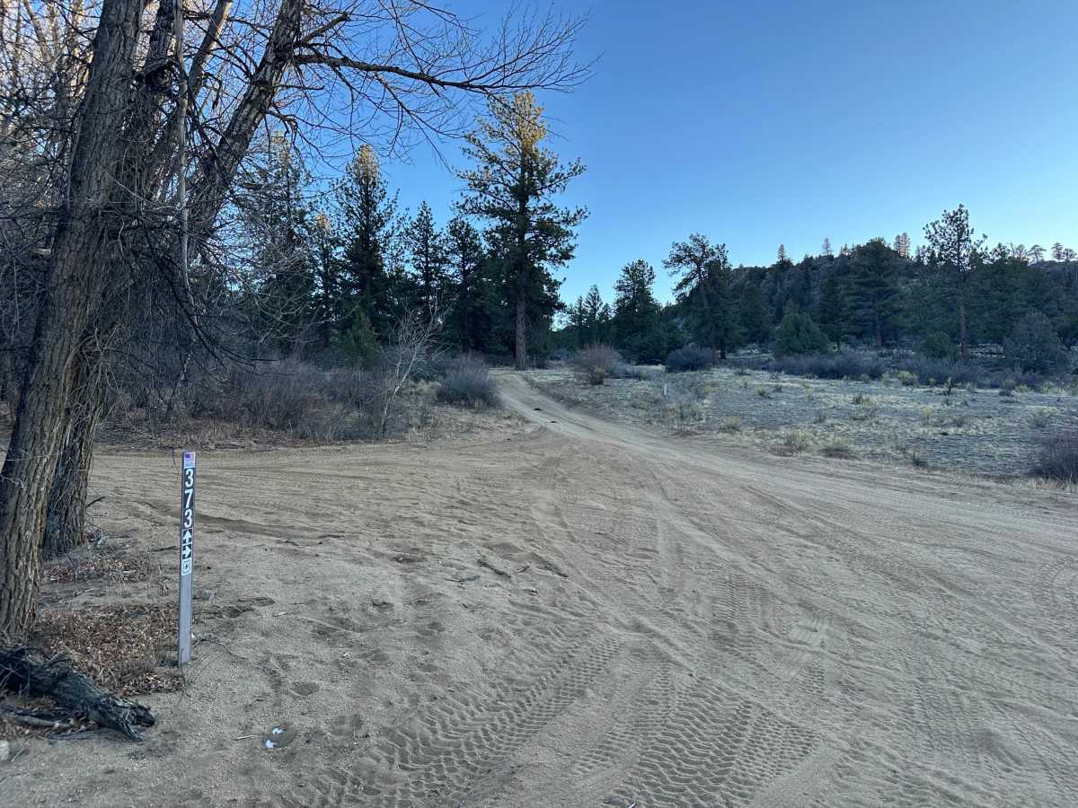 Little Fourmile Road - FS 373 photo 6