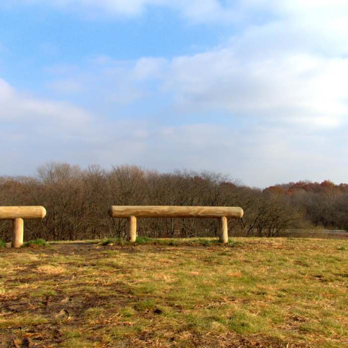 Near Flat Fork Creek Park Nature Trail Near Flat Fork Creek Park Nature Trail