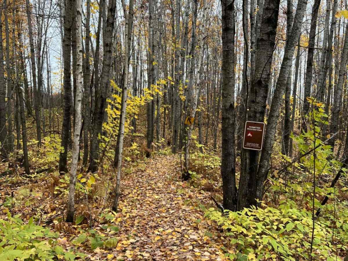 Bunyan Biker Brawl trail photo