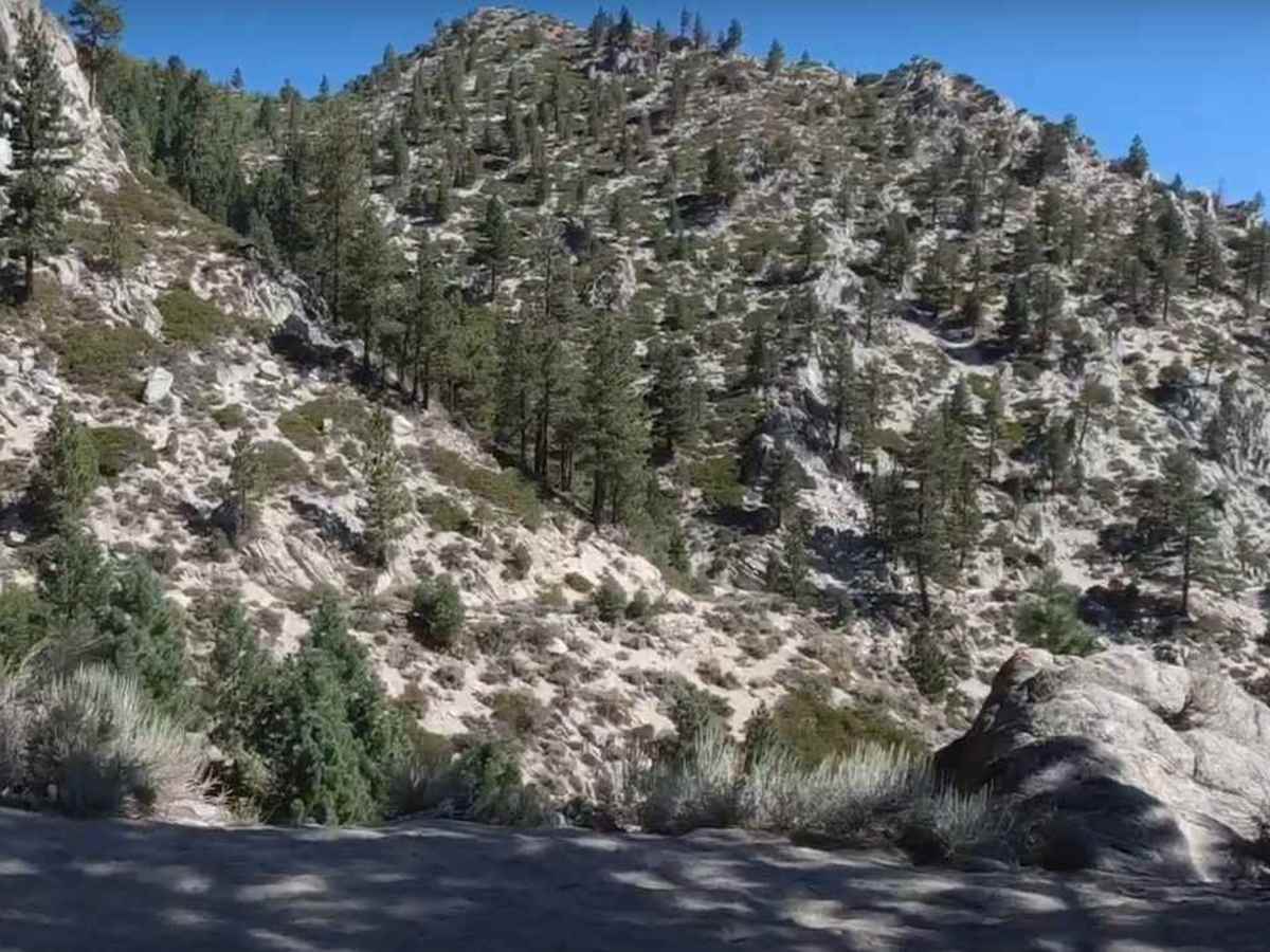 Kings Canyon Road photo 5