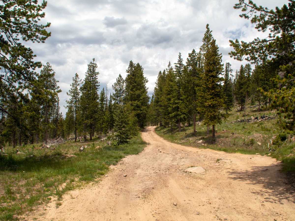 Cobble Creek - FS 80415 trail photo