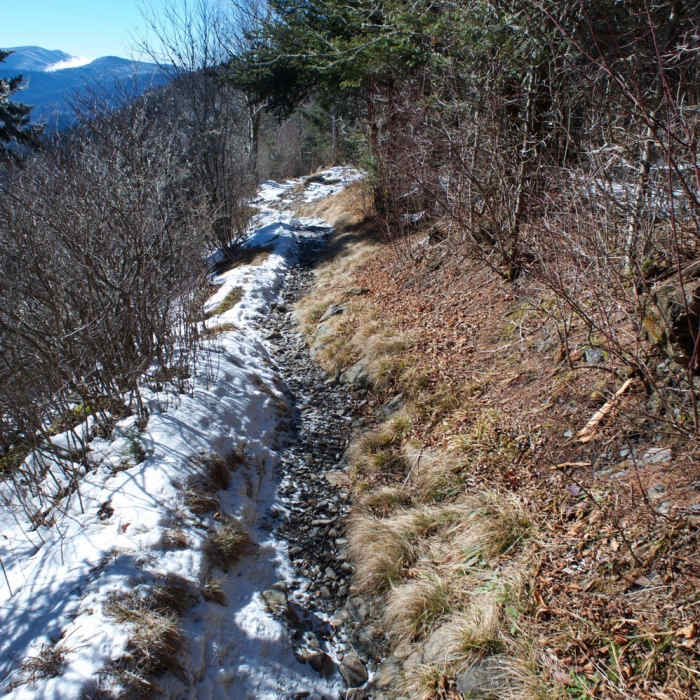 The Appalachian Trail is narrow in this section as it hugs the ridge on the North Carolina side before it crosses back over to the TN side. Near Charlies Bunion via Kephart Loop