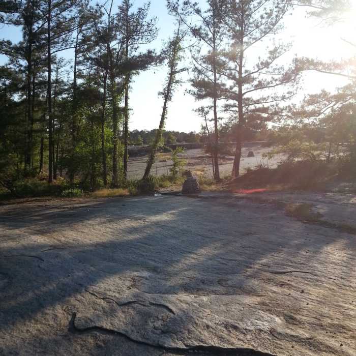 A view through the trees. Near Arabia Mountain Trail to Panola Mountain/Lake Alexander