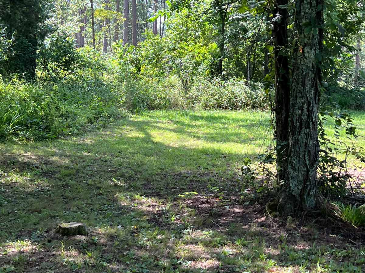 Liberty Springs Road  photo 6