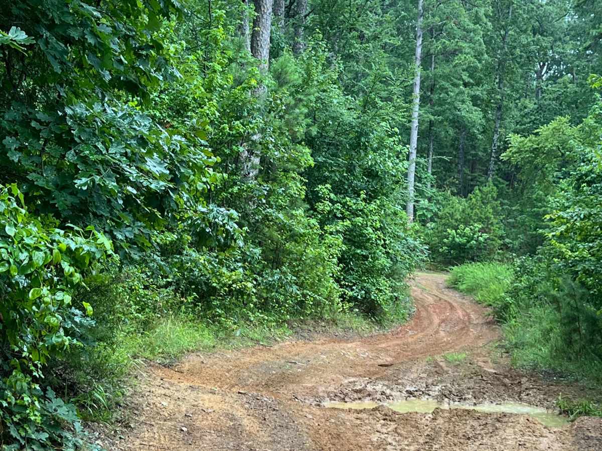 Kincannon Run - FS 1318 trail photo