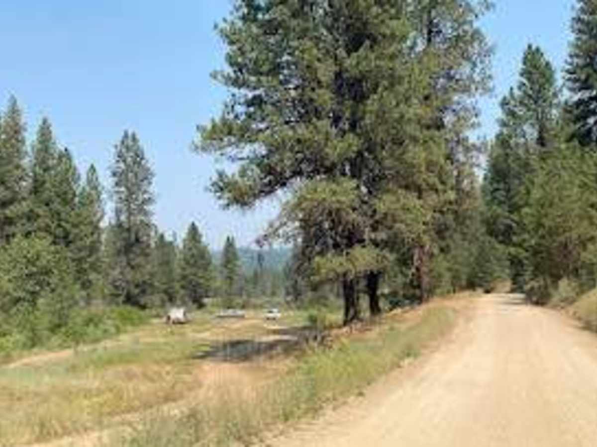 Pine Creek Road - 304 photo 5