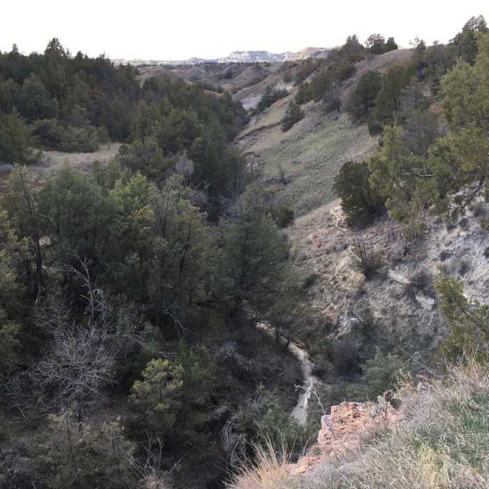 Near Coal Vein Trail