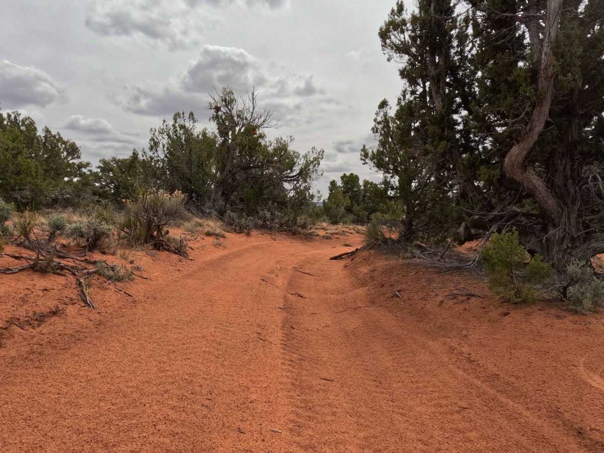 BLM 60C trail photo