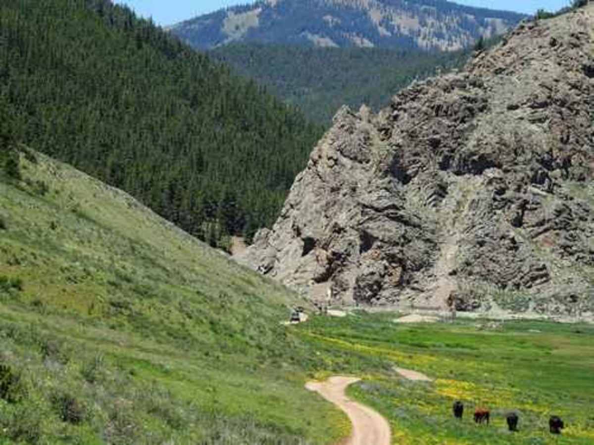 Slaughterhouse Gulch photo 3