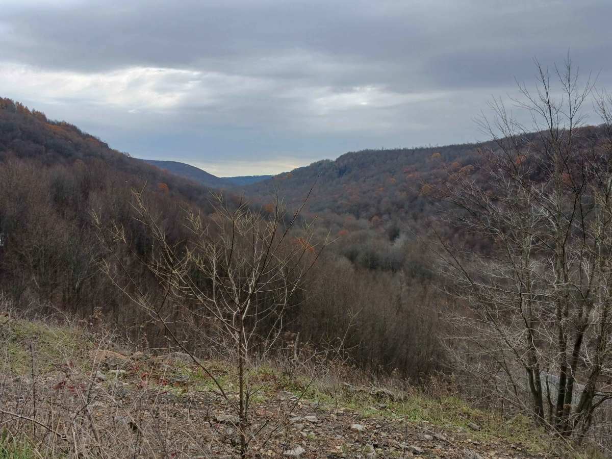 Outer Loop West - Rock Run Recreation Area trail photo
