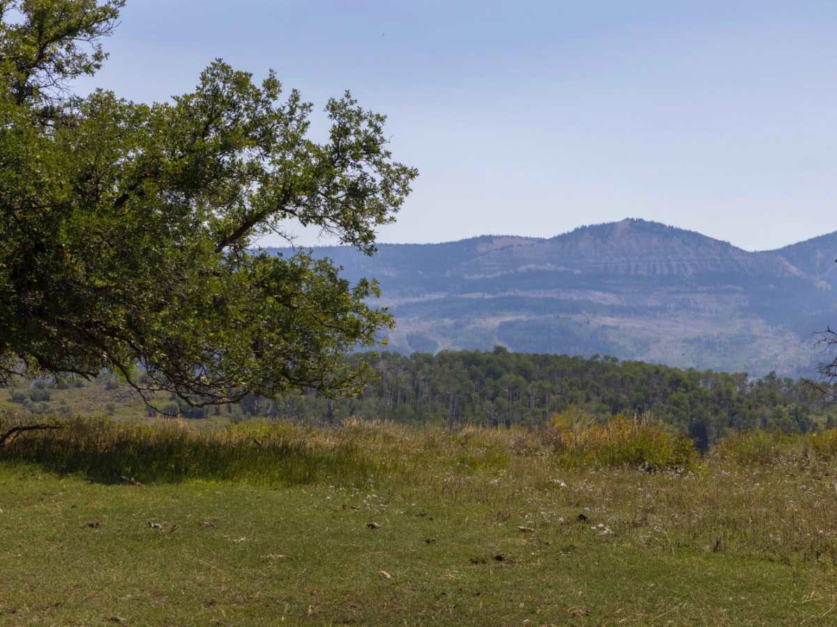 Middle Mountain Ridge photo 5