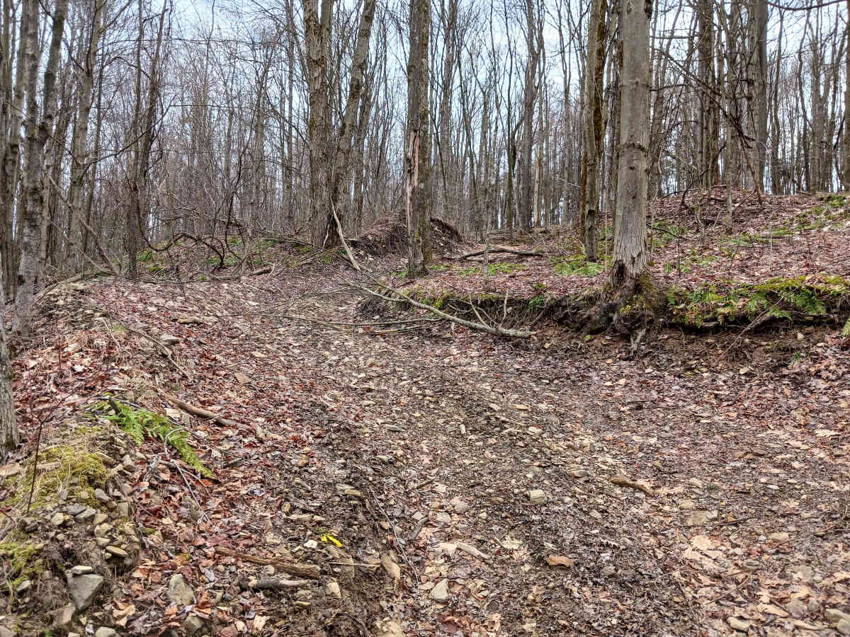 Trail 15A - Rock Run Recreation Area photo 3