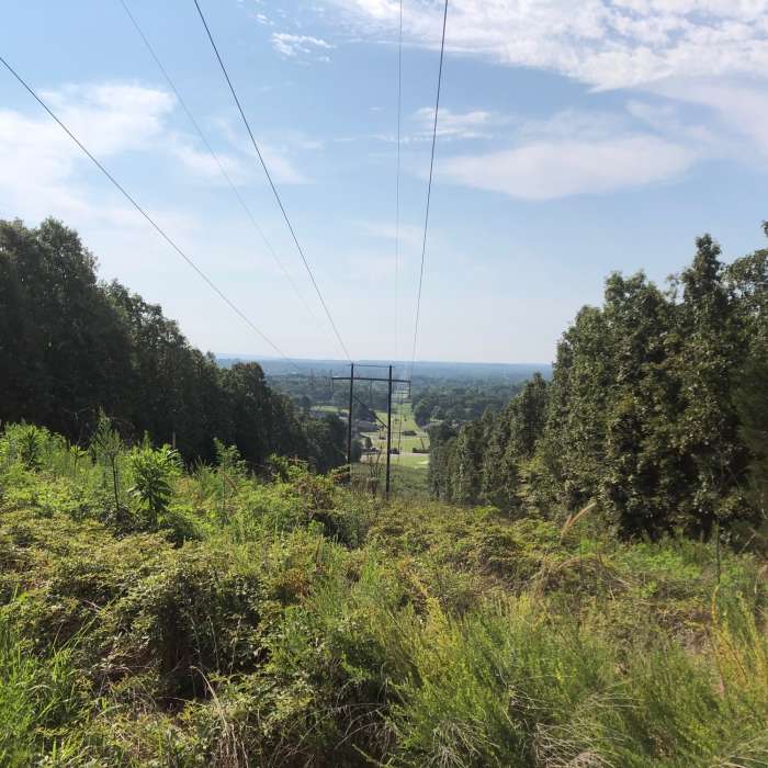 Near Upper Cadron Ridge Trail