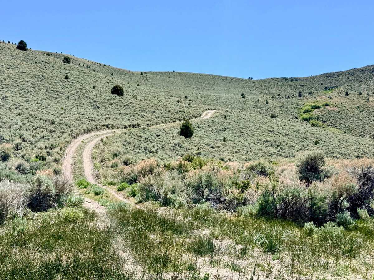  Brock Canyon - FS 43292 photo 3