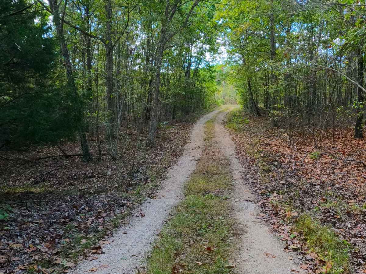 Asher - FS 2484 trail photo