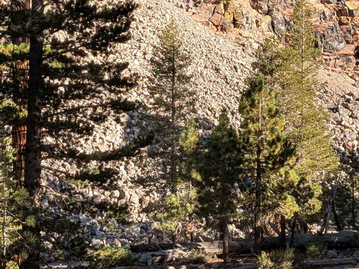 Obsidian Loop FS 2S79 trail photo