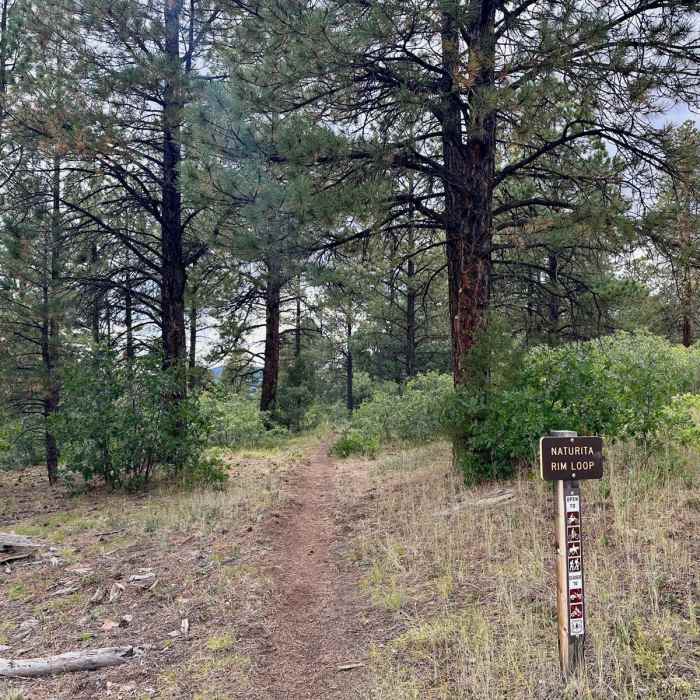 Near Naturita Rim Loop