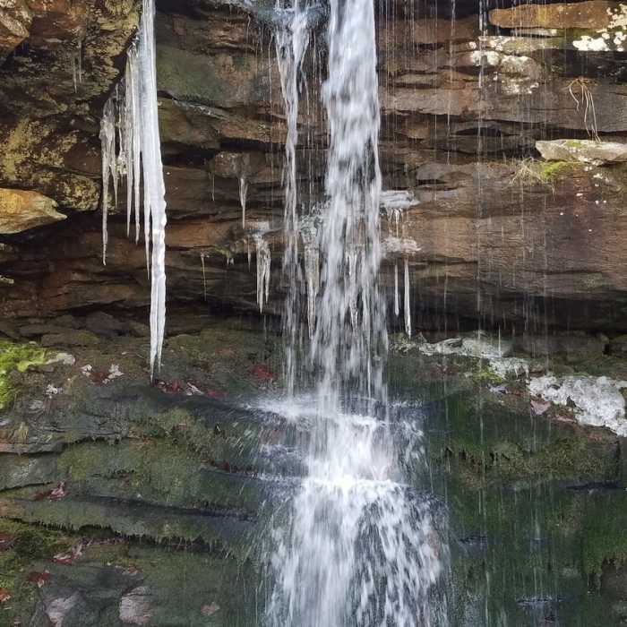 Near North Main Loop
