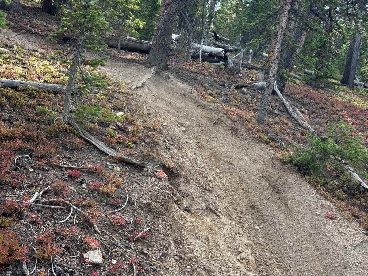 Fuller Trail photo 5